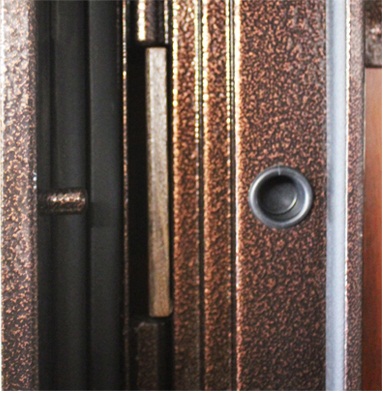 Стальная дверь «Аполлон»