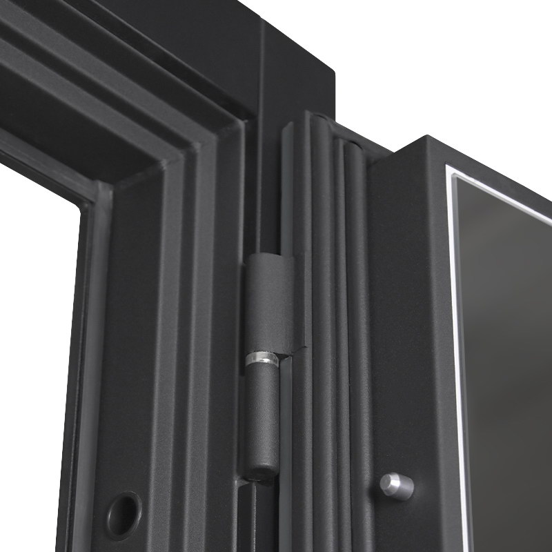 Стальная дверь «Агава» с зеркалом