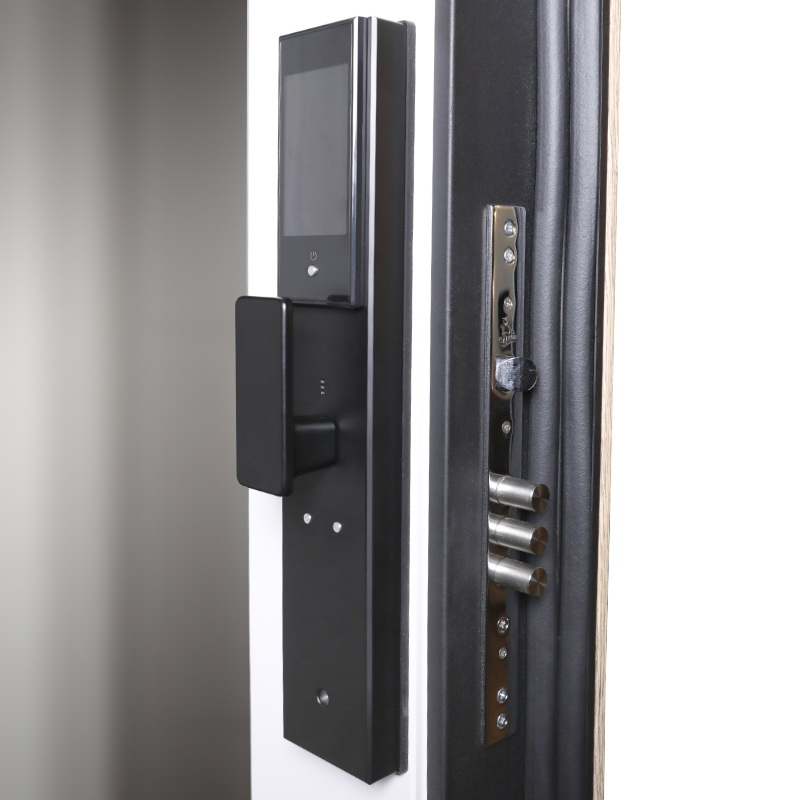 Стальная дверь «Конструктор» с биометрическим замком Smart lock DZ 888 и зеркалом