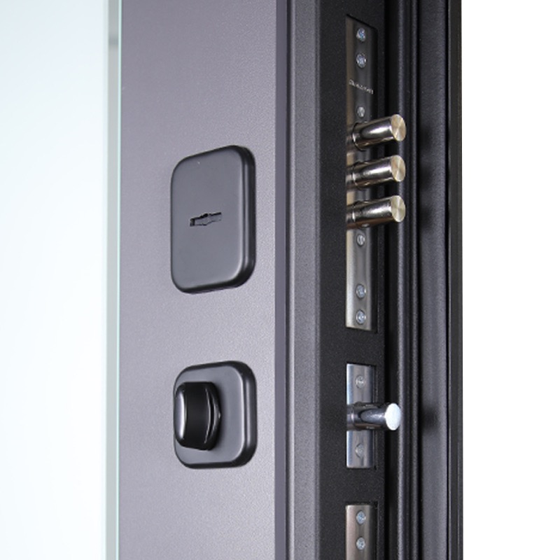 Стальная дверь «Ego»