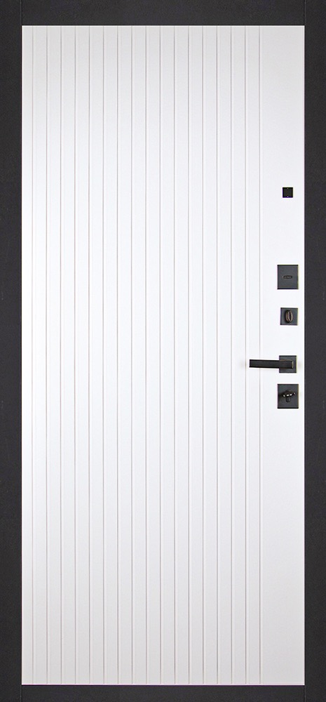Стальная дверь «Planum»