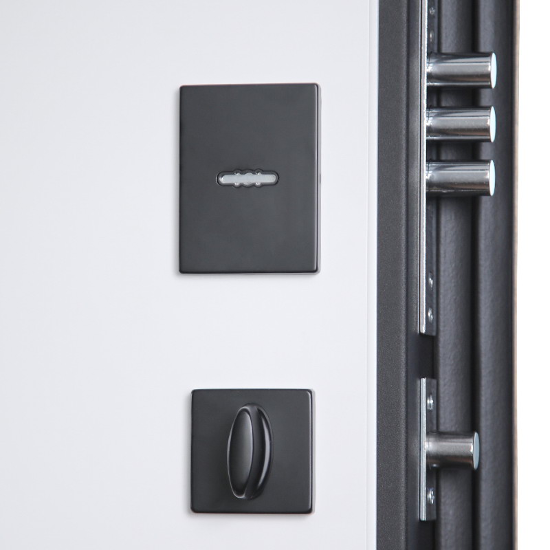 Стальная дверь «Конструктор» с биометрическим замком Smart lock DZ 888