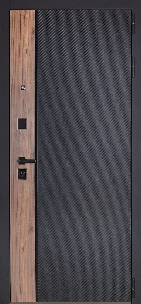 Стальная дверь «Planum»