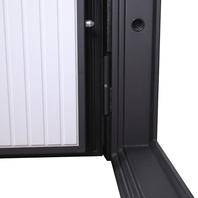 Стальная дверь «Тунис»