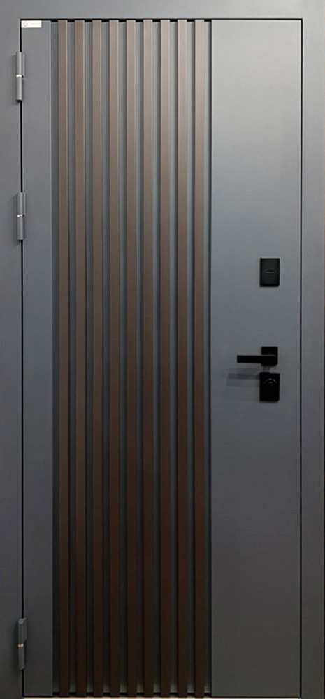 Стальная дверь Терморазрыв 3К «Winter»