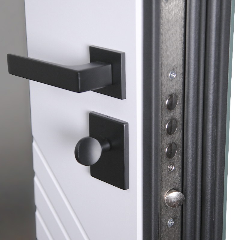 Стальная дверь «Агава» с зеркалом