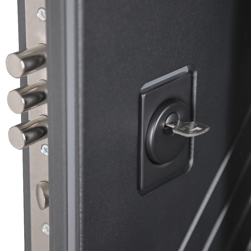 Стальная дверь «Агава» с зеркалом