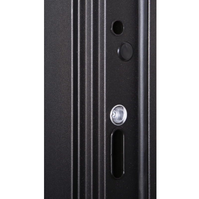 Стальная дверь «Planum»