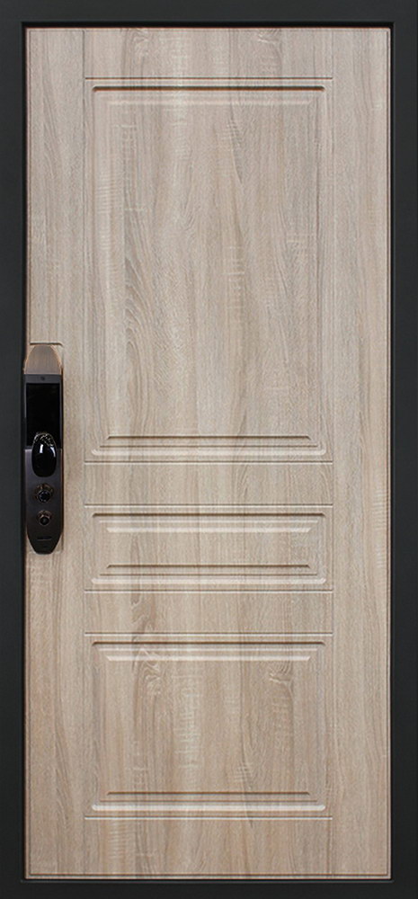 Стальная дверь «Фиджи» с умным замком