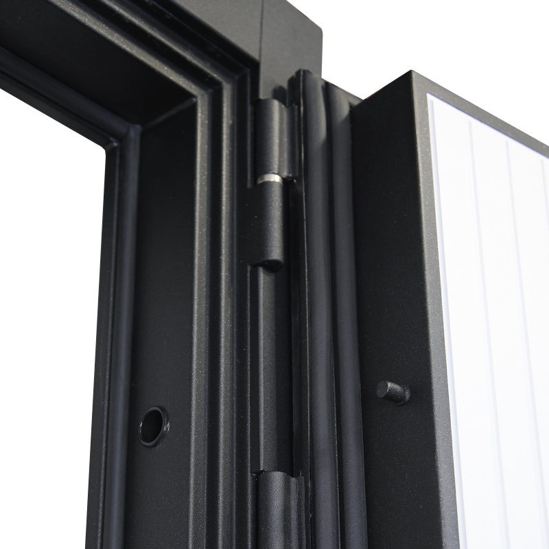 Стальная дверь «Planum»