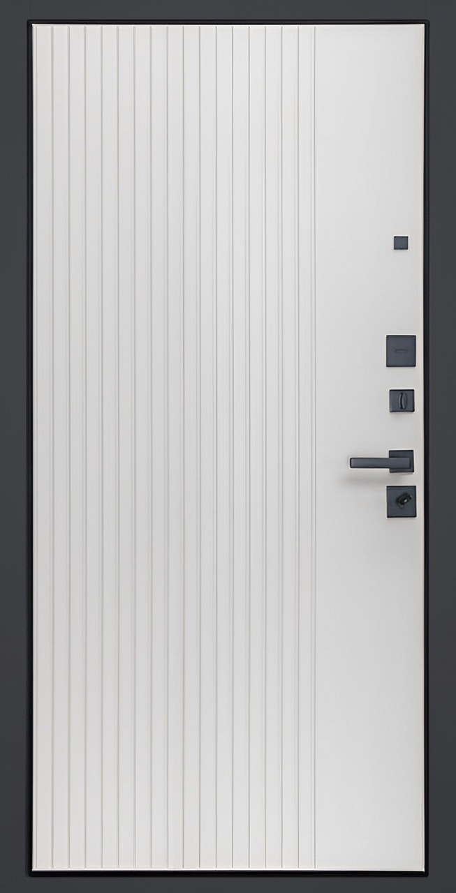 Стальная дверь «Tesoro»