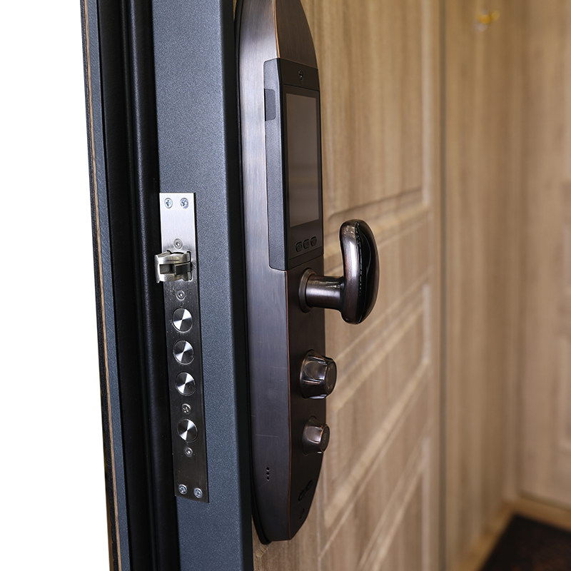 Стальная дверь «Фиджи» с умным замком