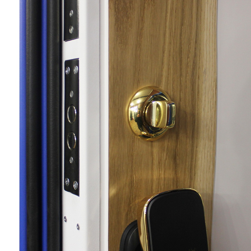 Стальная дверь «Lamborghini» с умным замком