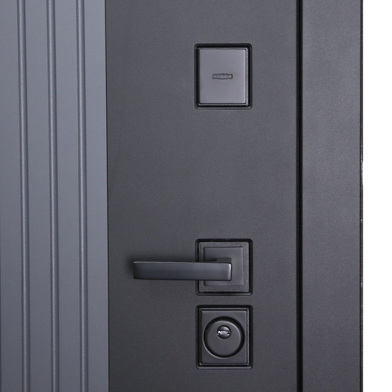 Стальная дверь «Tesoro»