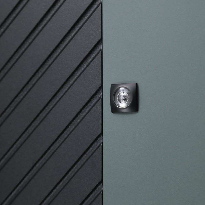 Стальная дверь «Омега»