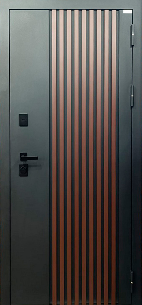 Стальная дверь Терморазрыв 3К «Nord»