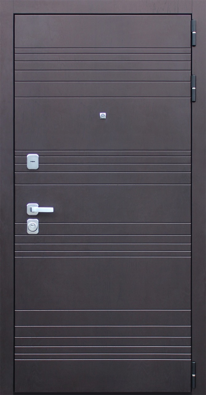Стальная дверь «Дуэт»