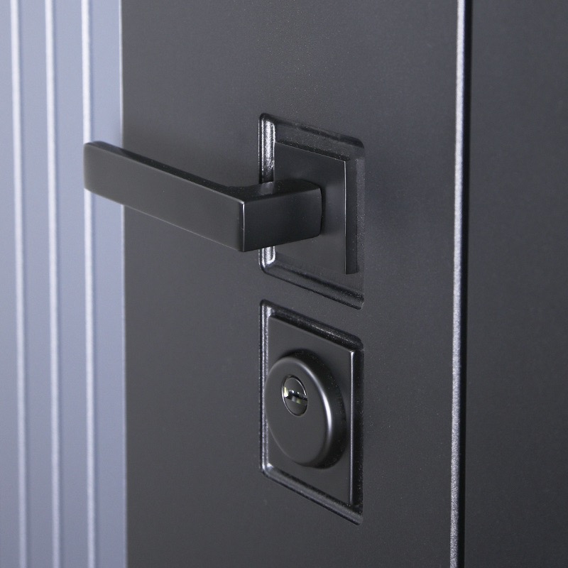 Стальная дверь «Tesoro»