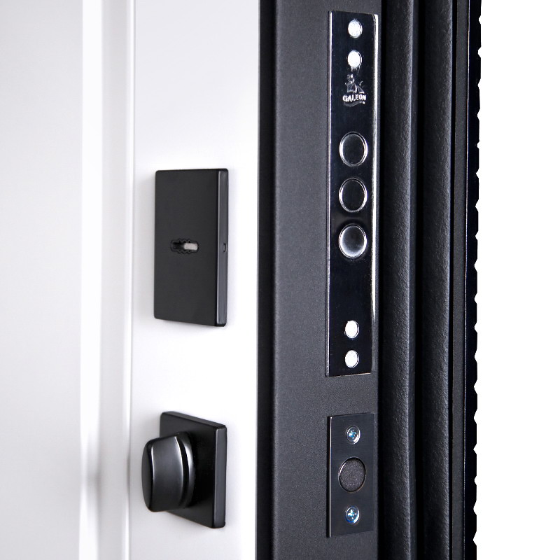 Стальная дверь «Сапсан» (биометрический замок Smart lock Y23)