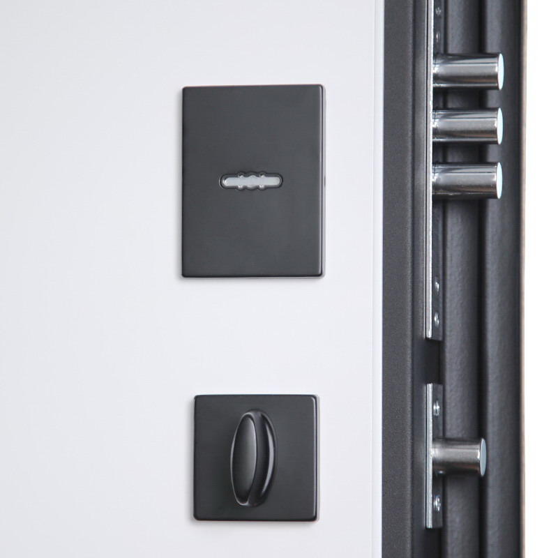 Стальная дверь «Конструктор» (биометрический замок Smart lock Y12)