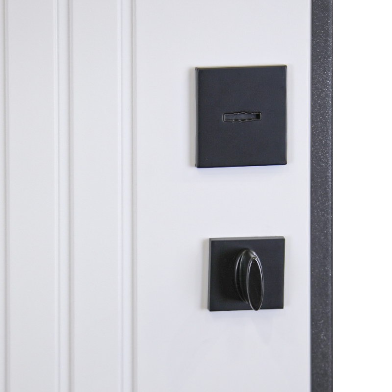 Стальная дверь «Planum»