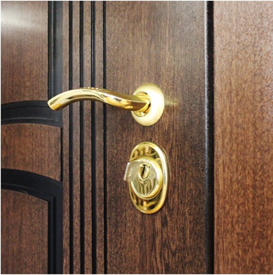 Стальная дверь «Аполлон»