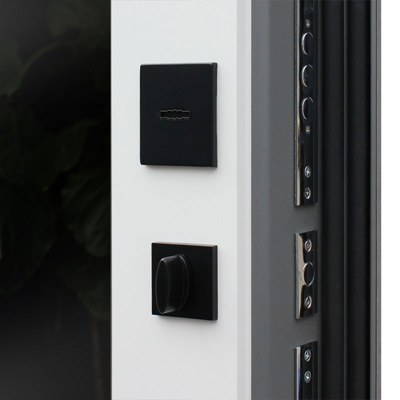 Стальная дверь «Лира с зеркалом»