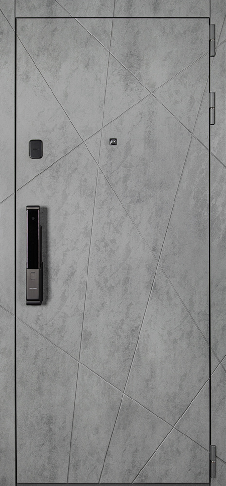 Стальная дверь «Сантос» с умным замком