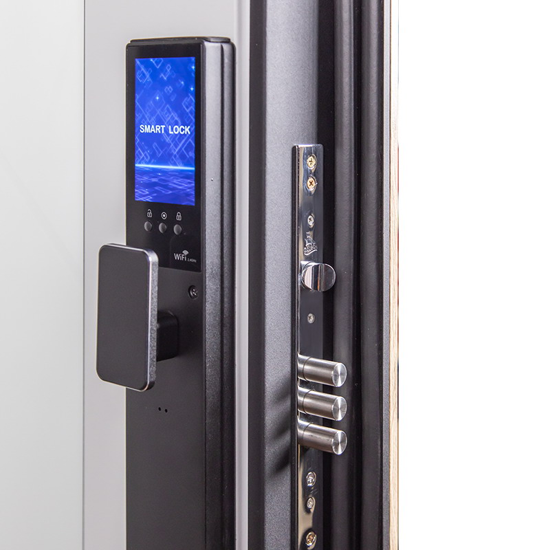 Стальная дверь «Конструктор» с зеркалом (биометрический замок Smart lock Y12)