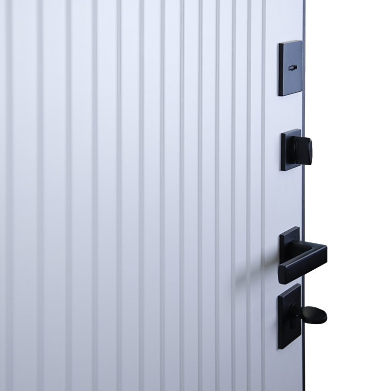 Стальная дверь «Planum»