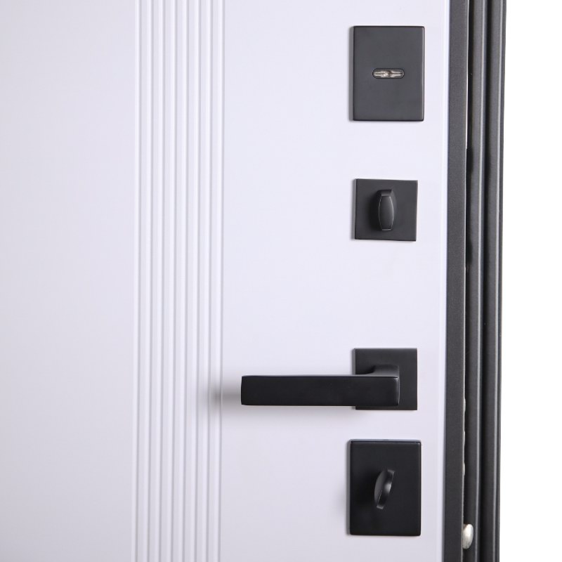 Стальная дверь «Статус»