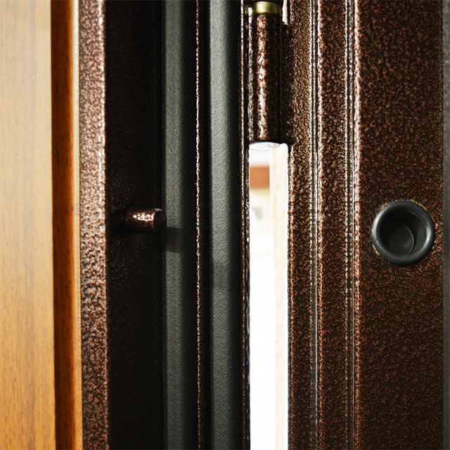 Стальная дверь «Прометей 3D»