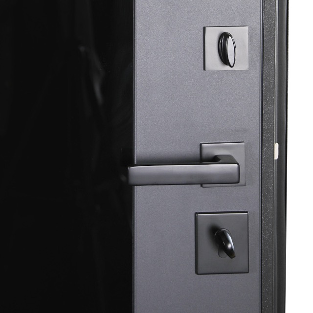 Стальная дверь «Ligero»