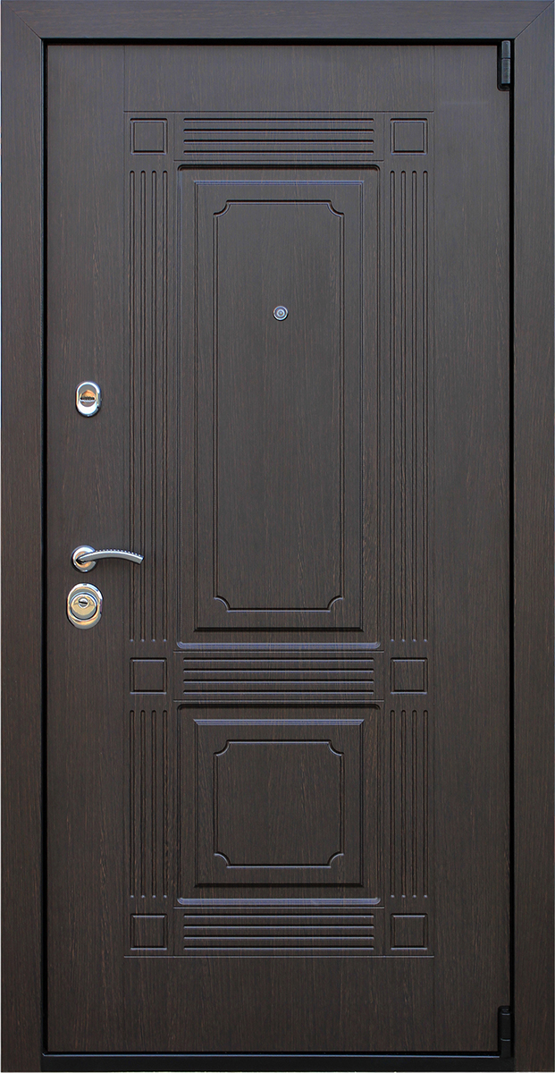 Стальная дверь «Викинг»