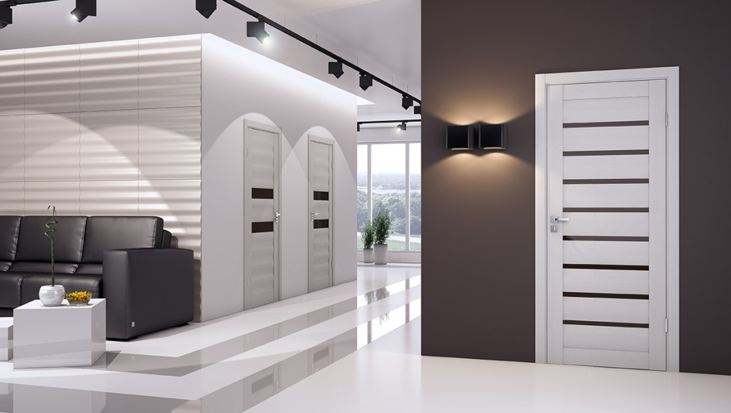 Светлые двери с черной вставкой.jpg